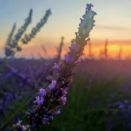 -le Toit Terrasse - Apartamento *