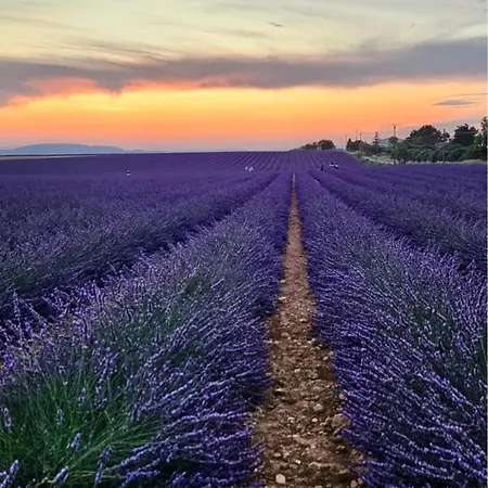 Apartamento -le Toit Terrasse -